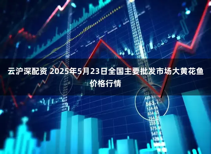 云沪深配资 2025年5月23日全国主要批发市场大黄花鱼价格行情