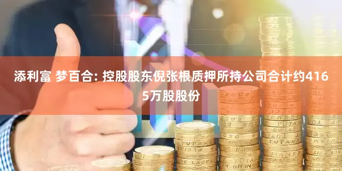 添利富 梦百合: 控股股东倪张根质押所持公司合计约4165万股股份